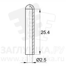 CS2.5x25.4